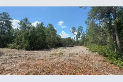 0 North Circle E, Paisley, FL 32767 - Photo 9