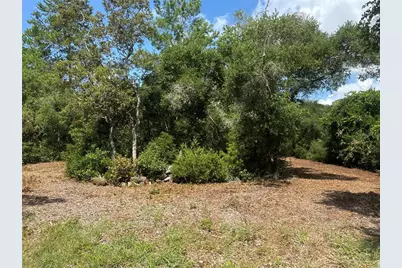 0 North Circle E, Paisley, FL 32767 - Photo 7