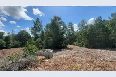 0 North Circle E, Paisley, FL 32767 - Photo 11