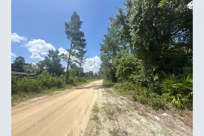0 North Circle E, Paisley, FL 32767 - Photo 3