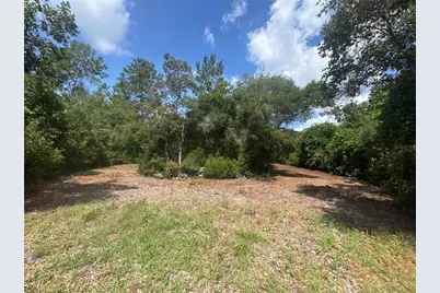 0 North Circle E, Paisley, FL 32767 - Photo 1