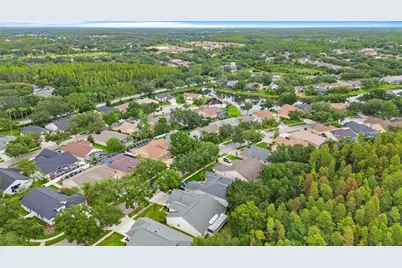 10217 Timberland Point Drive, Tampa, FL 33647 - Photo 5