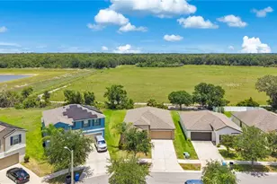 10116 Carloway Hills Dr, Wimauma, FL 33598 - Photo 3