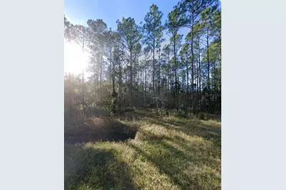 9930 Crotty Avenue, Hastings, FL 32145 - Photo 1
