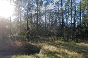 9930 Crotty Ave, Hastings, FL 32145 - Photo 1