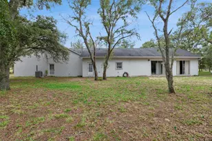 9738 Tower Pine Dr, Winter Garden, FL 34787 - Photo 47