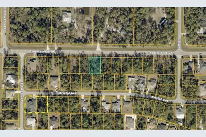 Tropicaire Boulevard, North Port, FL 34291 - Photo 3