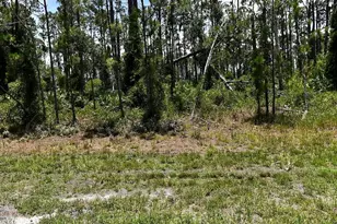 Tropicaire Blvd, North Port, FL 34291 - Photo 1