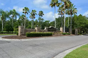 14648 Corkwood Dr, Tampa, FL 33626 - Photo 29