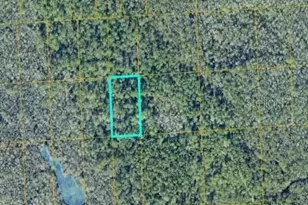 7128-02-02-0160, Lake Helen, FL 32744 - Photo 1