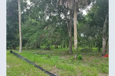 180 Oak Drive, Osteen, FL 32764 - Photo 5