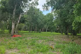 180 Oak Dr, Osteen, FL 32764 - Photo 1