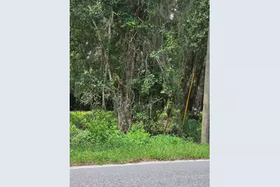 180 Oak Drive, Osteen, FL 32764 - Photo 7