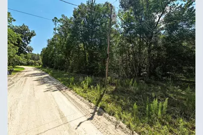 Nw 50th Terrace, Bell, FL 32619 - Photo 3