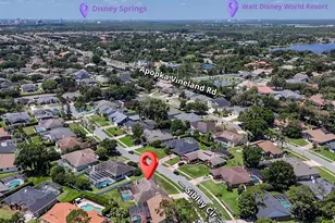 9731 Sibley Cir, Orlando, FL 32836 - Photo 47