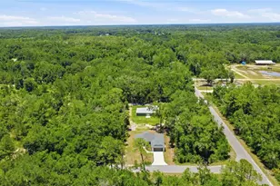 3 Sequoia Dr Trce, Ocklawaha, FL 32179 - Photo 47