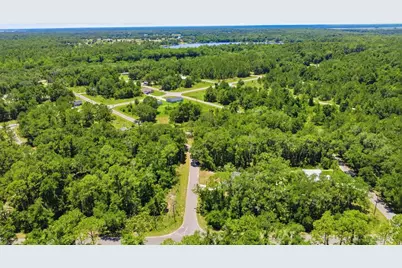 3 Sequoia Drive Trace, Ocklawaha, FL 32179 - Photo 45