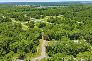 3 Sequoia Dr Trce, Ocklawaha, FL 32179 - Photo 45