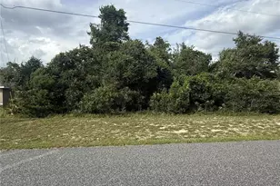 Tbd SW 165th Street Rd, Ocala, FL 34473 - Photo 1