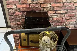 206 Verona Ave, Davenport, FL 33897 - Photo 13