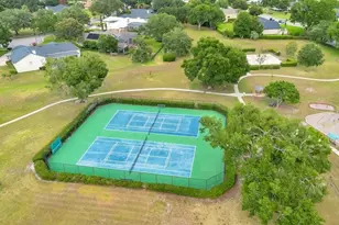 11407 Willow Gardens Dr, Windermere, FL 34786 - Photo 41