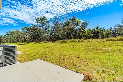3176 Goose Road, Davenport, FL 33837 - Photo 9