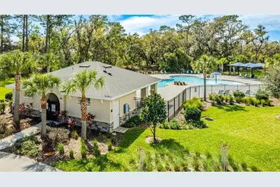 3176 Goose Road, Davenport, FL 33837 - Photo 25