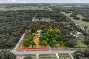40847 County Rd 439, Umatilla, FL 32784 - Photo 43