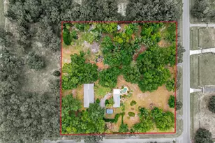 40847 County Rd 439, Umatilla, FL 32784 - Photo 5