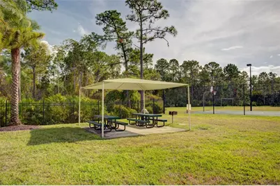 3405 Heirloom Rose Place, Oviedo, FL 32766 - Photo 19