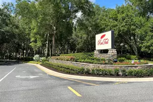 25846 Feather Ridge Ln, Sorrento, FL 32776 - Photo 41