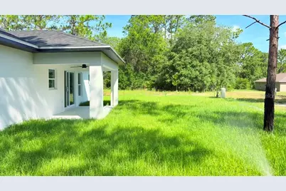17 Malauka Run Drive, Ocklawaha, FL 32179 - Photo 45