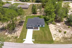 17 Malauka Run Dr, Ocklawaha, FL 32179 - Photo 37