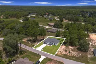 17 Malauka Run Dr, Ocklawaha, FL 32179 - Photo 33