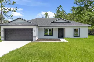 17 Malauka Run Dr, Ocklawaha, FL 32179 - Photo 3