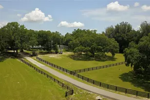 16945 W Phil C Peters Rd, Winter Garden, FL 34787 - Photo 41