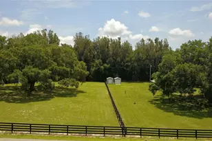 16945 W Phil C Peters Rd, Winter Garden, FL 34787 - Photo 63