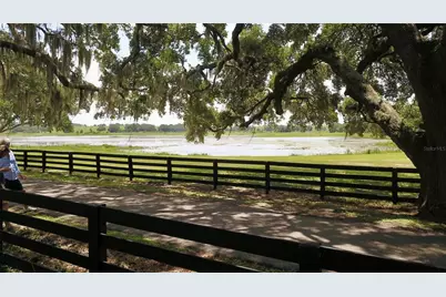 16945 W Phil C Peters Road, Winter Garden, FL 34787 - Photo 101