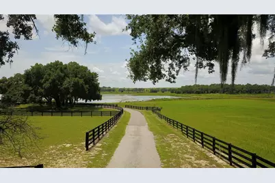 16945 W Phil C Peters Road, Winter Garden, FL 34787 - Photo 67