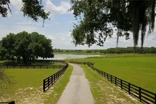 16945 W Phil C Peters Rd, Winter Garden, FL 34787 - Photo 67