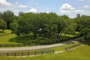16945 W Phil C Peters Rd, Winter Garden, FL 34787 - Photo 45