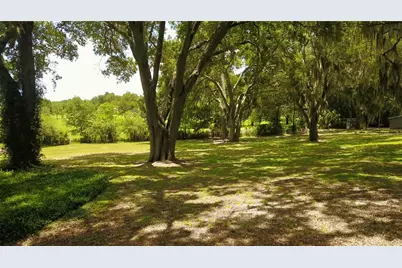16945 W Phil C Peters Road, Winter Garden, FL 34787 - Photo 71