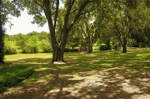 16945 W Phil C Peters Rd, Winter Garden, FL 34787 - Photo 71