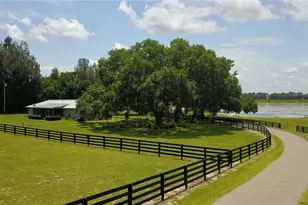 16945 W Phil C Peters Rd, Winter Garden, FL 34787 - Photo 49