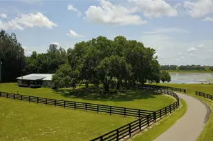 16945 W Phil C Peters Rd, Winter Garden, FL 34787 - Photo 47