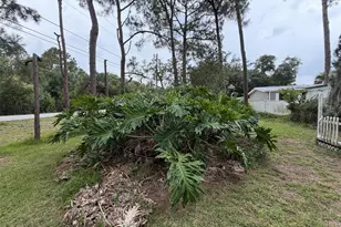 4560 Polk City Rd, Haines City, FL 33844 - Photo 15