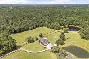 32839 Webbs Way, Sorrento, FL 32776 - Photo 39
