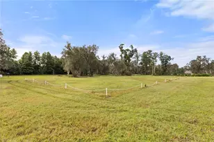 32839 Webbs Way, Sorrento, FL 32776 - Photo 49