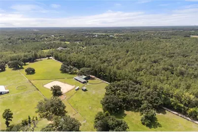 32839 Webbs Way, Sorrento, FL 32776 - Photo 43