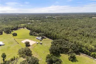 32839 Webbs Way, Sorrento, FL 32776 - Photo 43